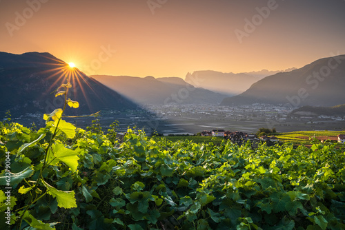 Beautiful scenery in Eppan and the surrounding countryside in South Tyrol. © pawelgegotek1