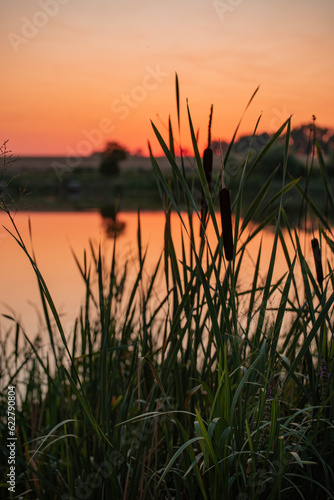 sunset over the lake