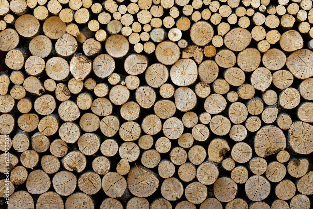 Industrial wood for the production of lumber, boards, pulp, paper and furniture. Dry tree trunks stacked in an even pile at a sawmill Industrial wood for the production of lumber, boards, pulp, paper and furniture. Dry tree trunks stacked in an even pile at a sawmill