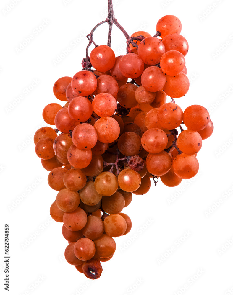 Fototapeta premium bunch of ripe orange grapes. on a white background