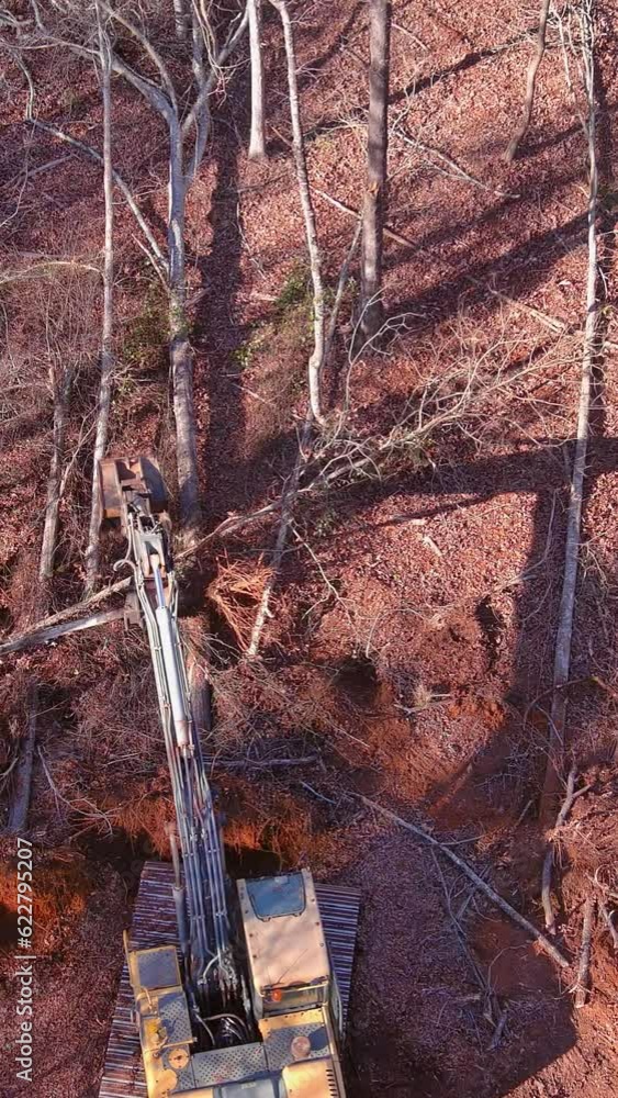 Removal stump roots from trees which were cut down to clear land for home construction was done with tractor backhoe. Removal stump roots from trees which were cut down to clear land for home construction was done with tractor backhoe.