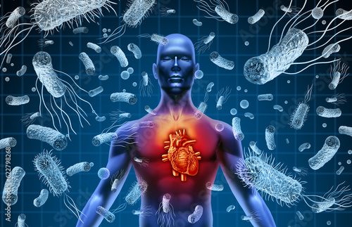 Heart And Bacteria or Bacterial Endocarditis and septicemia or sepsis as blood poisoning due to germs with 3D illustration elements. photo