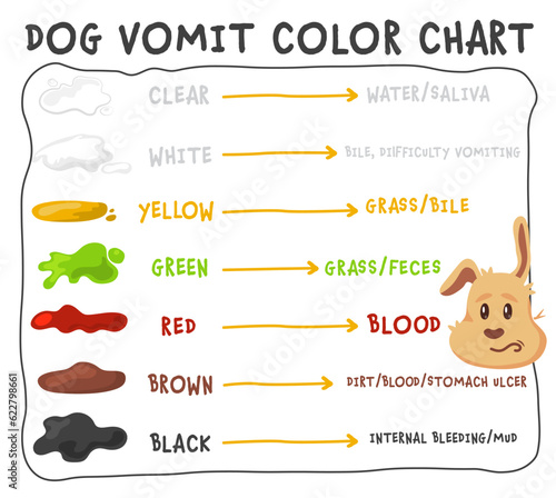 Dog vomit color guide. Editable vector illustration