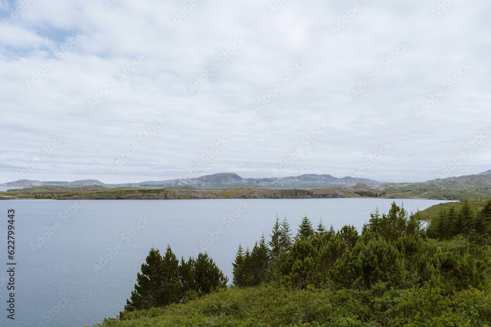 Beautiful nature in Iceland. Scenic icelandic landscape. View of lake. Trees on foreground. Cloudy day.
