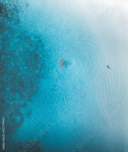 Aerial view of a person swimming in the ocean together with a couple of sharks along the Atoll coastline, Malé Atoll, Maldives. photo