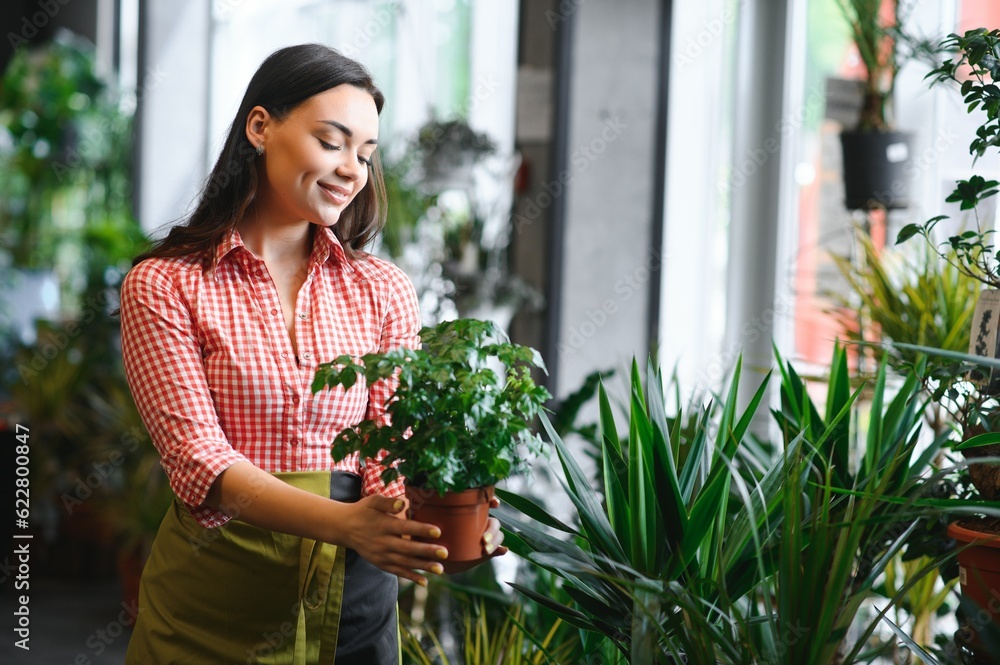 Fototapeta premium Side rear view of charming female florist in apron putting pots with green plant on shelves in floral shop. Young woman gardener working with houseplants at home. Concept of floral small business.