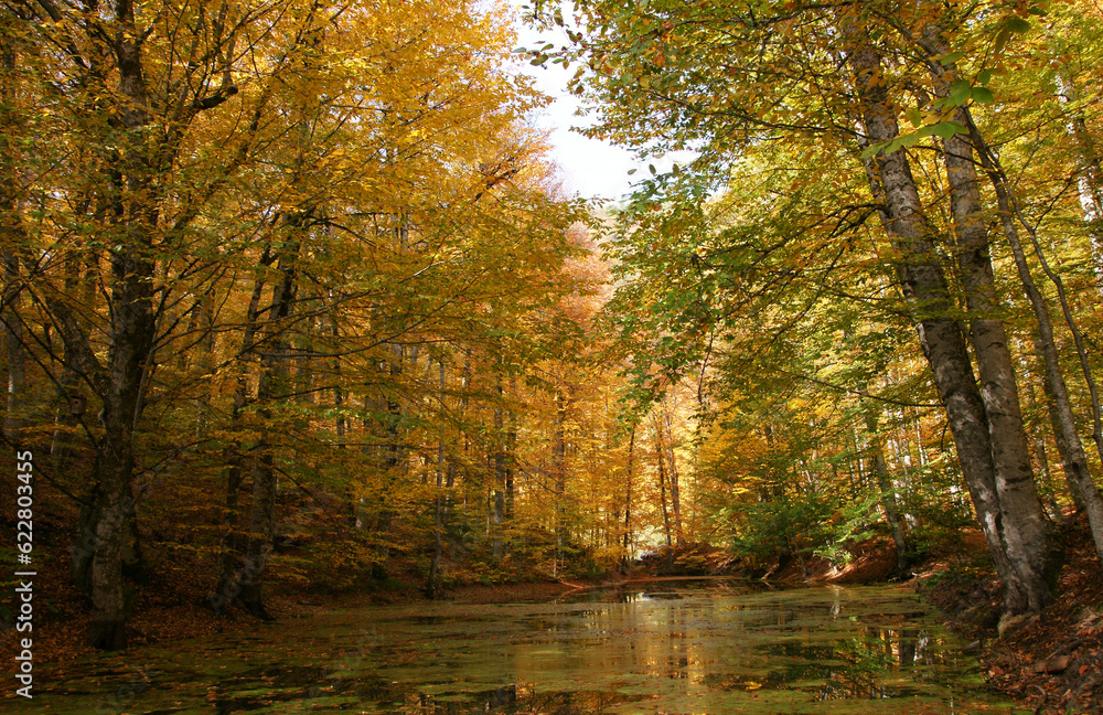 Yedigoller in Bolu, Turkey.