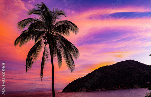 A fiery sunset silhouettes a palm tree in Yelapa Bay  Mexico