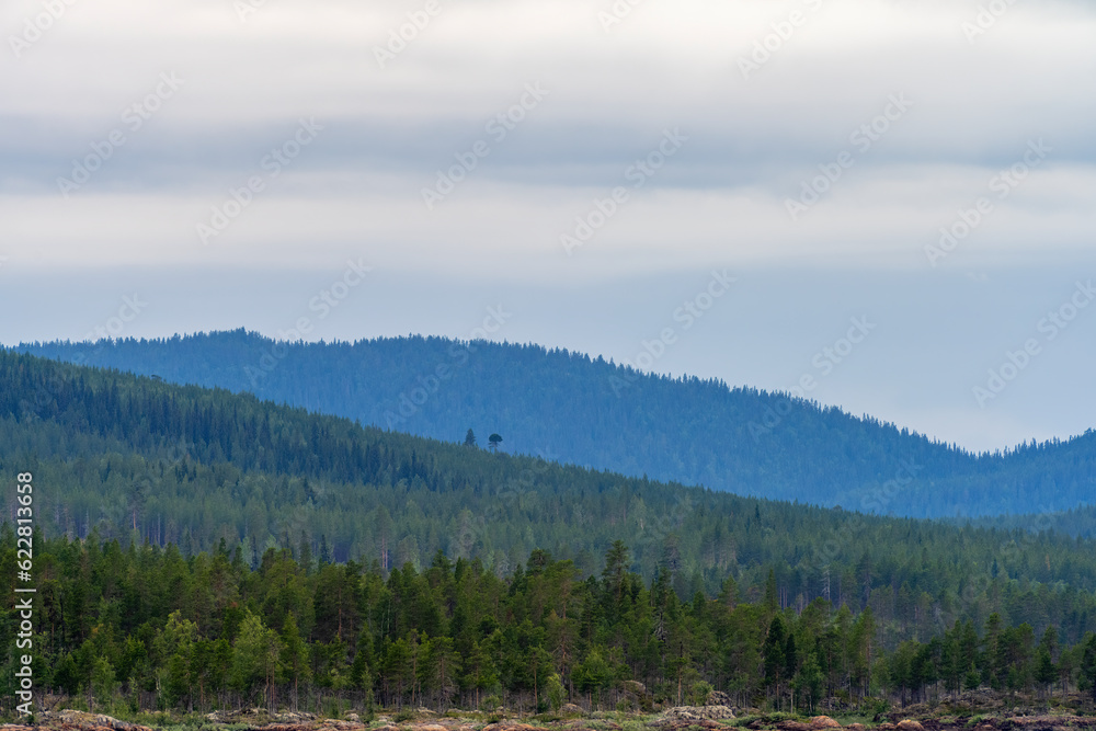 Vivid Twilight Scenery in the Northern Swedish Wilderness