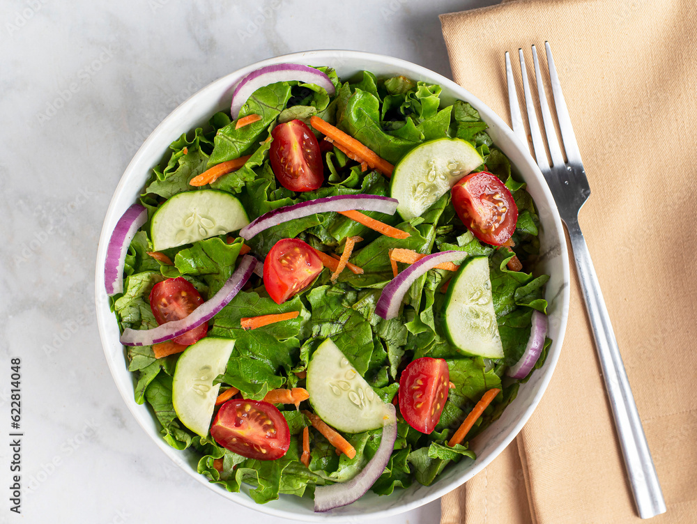 fresh garden salad  top with onions,