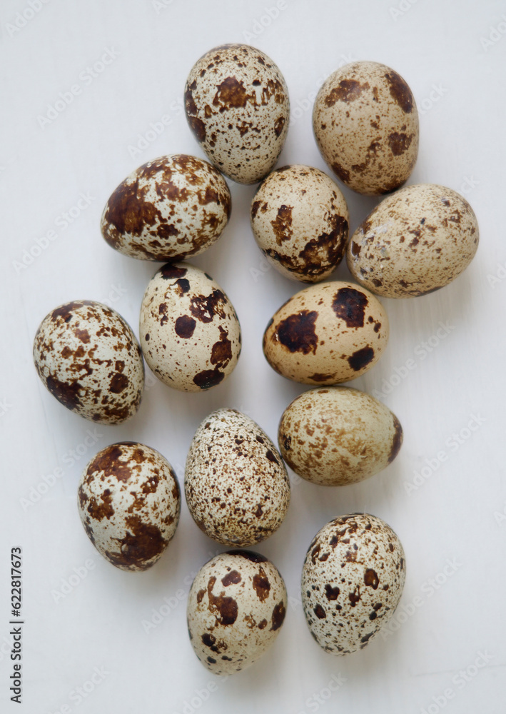 Fototapeta premium quail eggs on white background