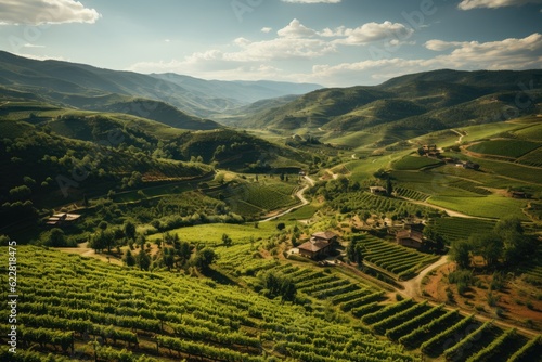 A Tuscan vineyard from above during harvest season. Generative AI