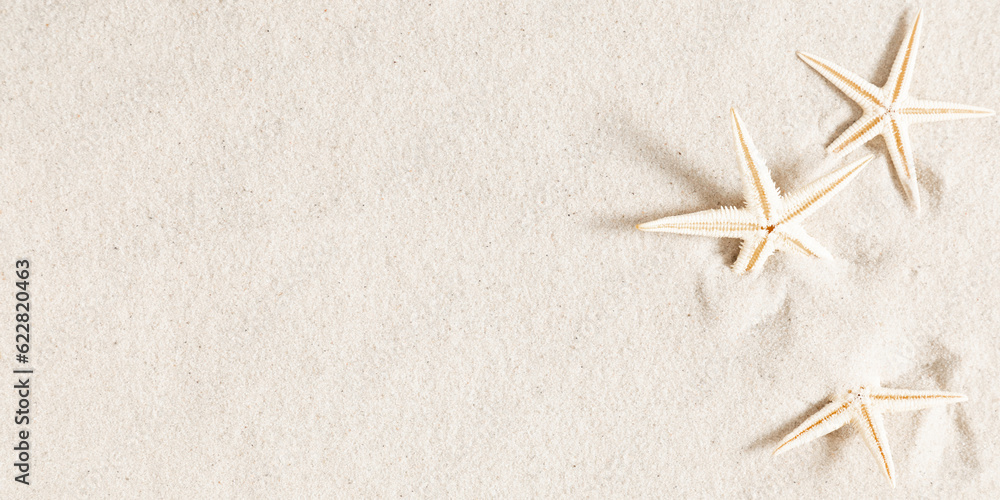 Texture of beach sand. Starfish in sand. Seashells on sand beach Texture of beach sand. Starfish in sand. Seashells on sand beach