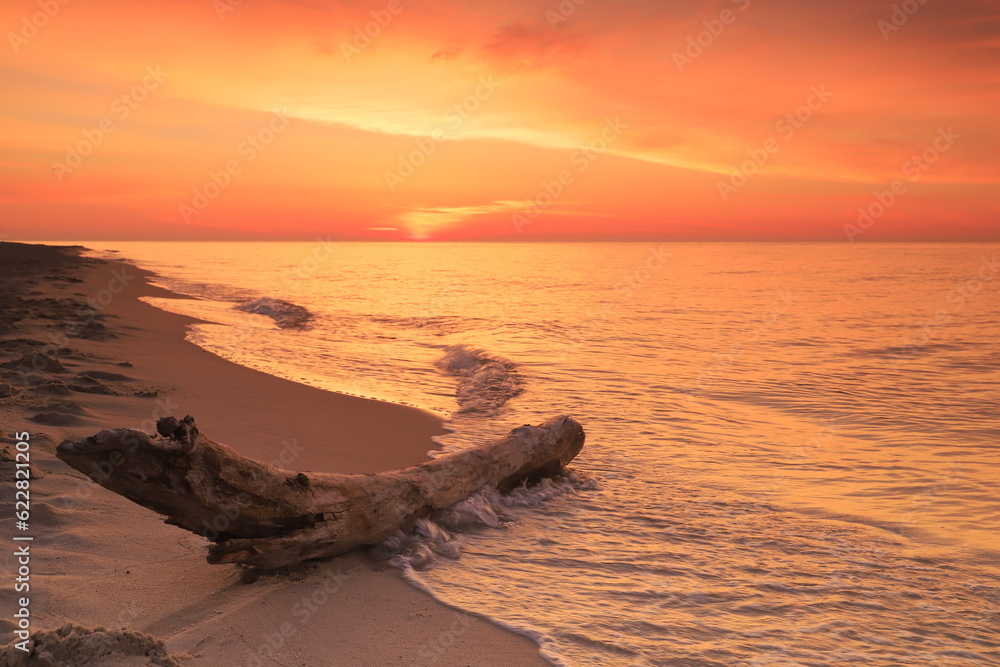 Poranek na plaży na Helu w Polsce z wyrzuconą fale na brzeg morza kłodą drewna. - obrazy, fototapety, plakaty 