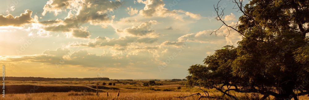 Fototapeta premium forest steppe sunset landscape. long banner