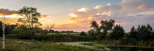 pine forest and small overgrown pond sunset landscape. long banner