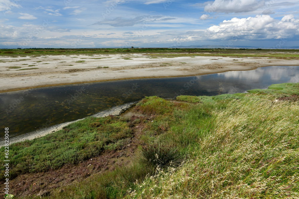 Axios Delta National park , Greece // Nationalpark Axios-Delta, Griechenland Axios Delta National park , Greece // Nationalpark Axios-Delta, Griechenland