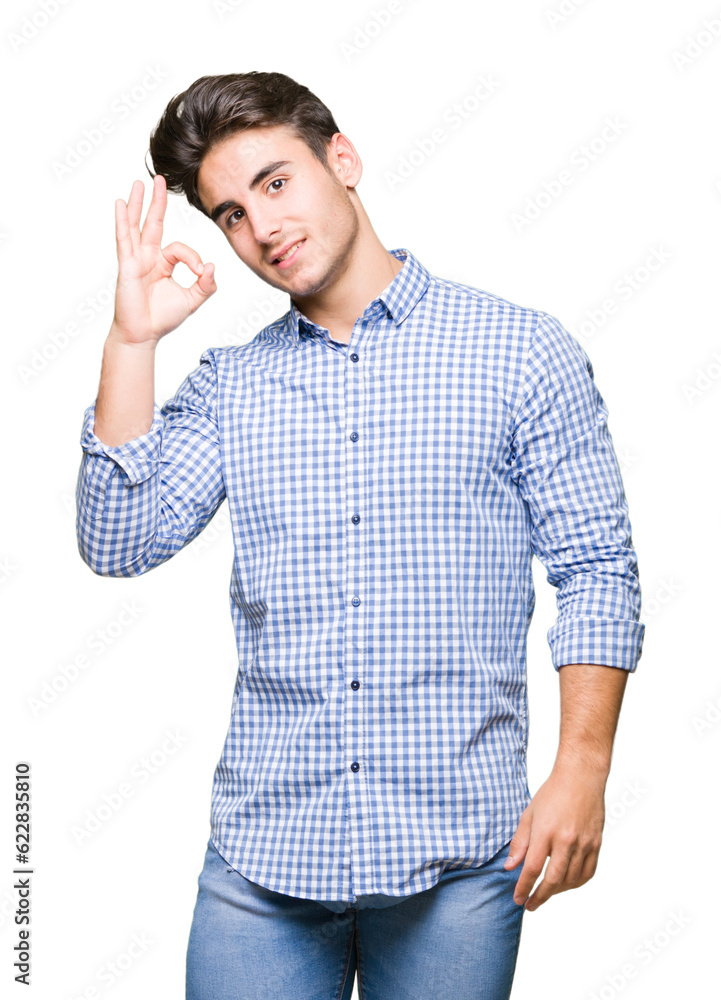 Young handsome business man over isolated background smiling positive doing ok sign with hand and fingers. Successful expression. Young handsome business man over isolated background smiling positive doing ok sign with hand and fingers. Successful expression.