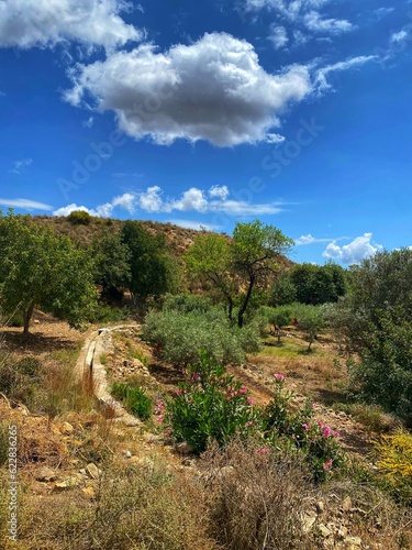 Landschaft bei Bedar, Almeria photo