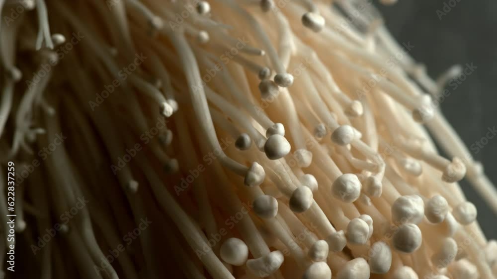 Enoki Mushroom, Close-Up Food Texture. Shot With Phantom Flex 4K Camera. Enoki Mushroom, Close-Up Food Texture. Shot With Phantom Flex 4K Camera.