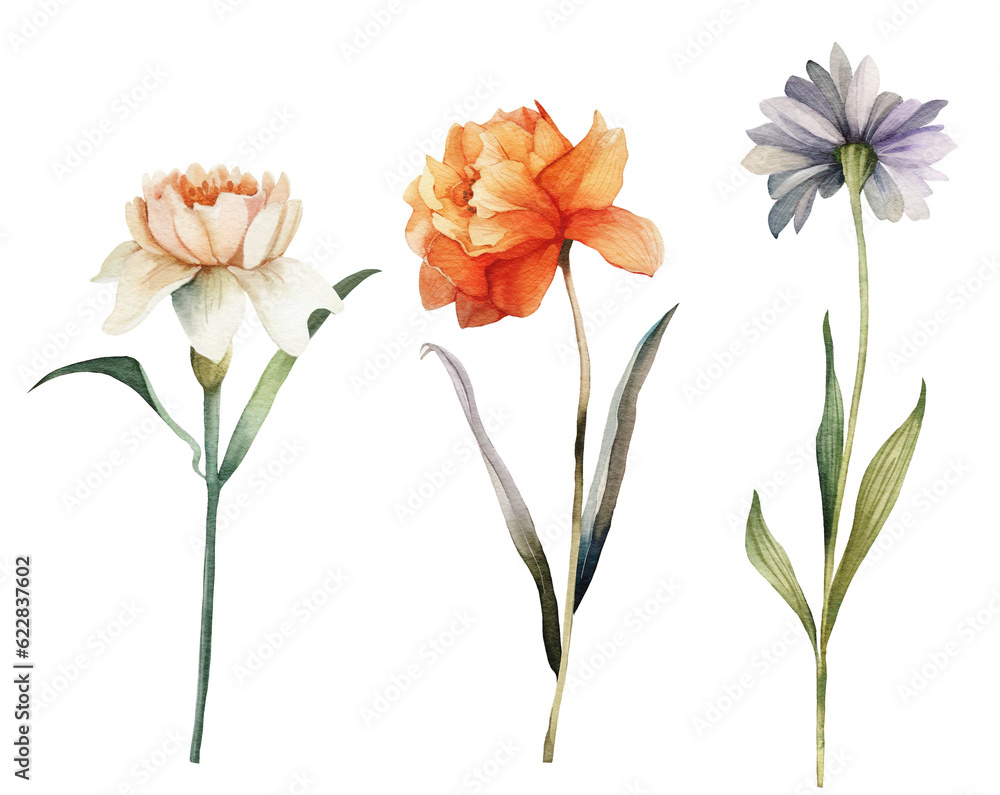Set of multi-colored garden flowers, watercolor illustration.