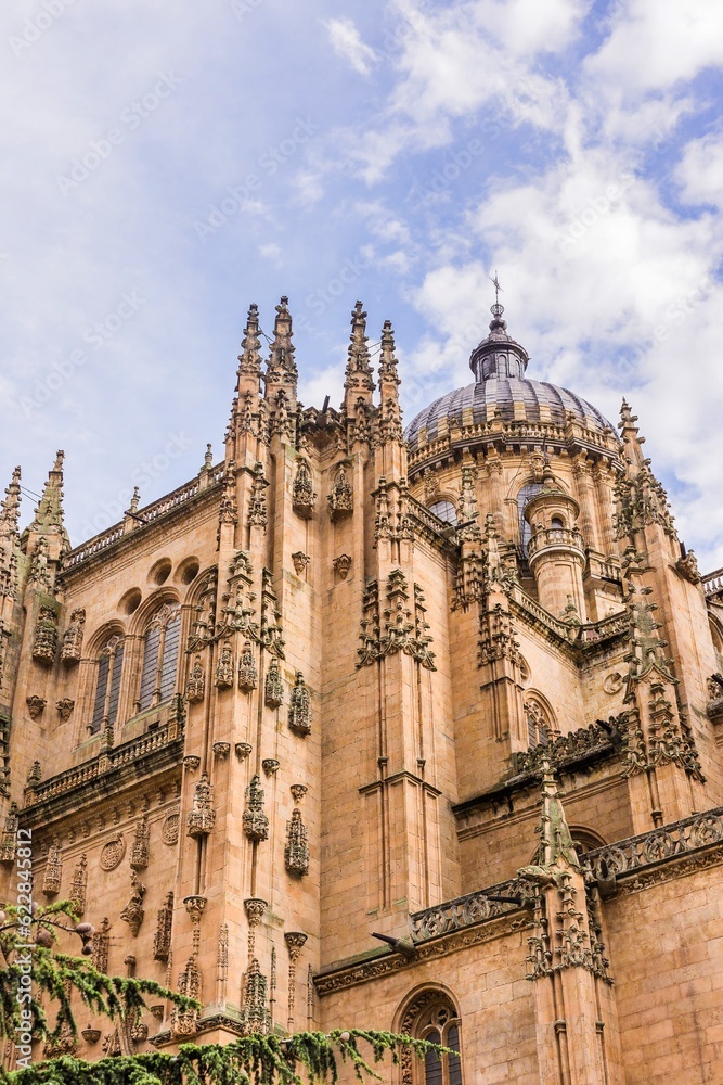 Salamanca cathedral architecture detail with no people. Castile and leon baroque and gothic facade