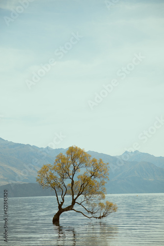 Beautiful autumn tree in lake