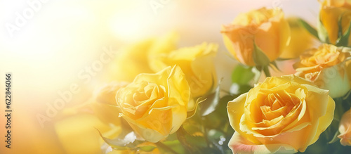  Graceful Yellow Roses and Beautiful Blooms Bathed in Soft Light - A Delicate Artistic Illustration. photo