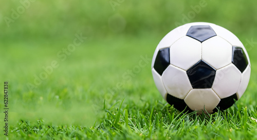 classic black and white soccer ball on the grass in high resolution and sharpness. professional football concept