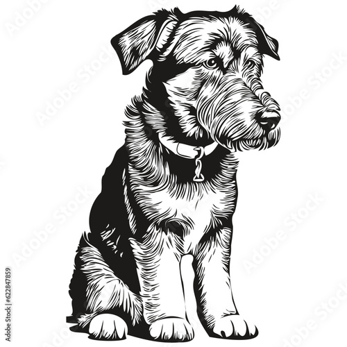 Airedale Terrier dog pencil hand drawing vector, outline illustration pet face logo black and white realistic breed pet