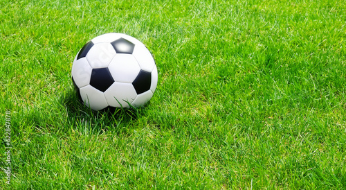 classic black and white soccer ball on the grass in high resolution and sharpness. soccer concept