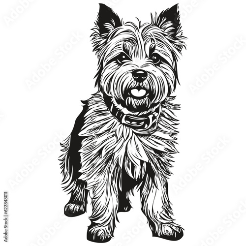 Cairn Terrier dog engraved vector portrait  face cartoon vintage drawing in black and white