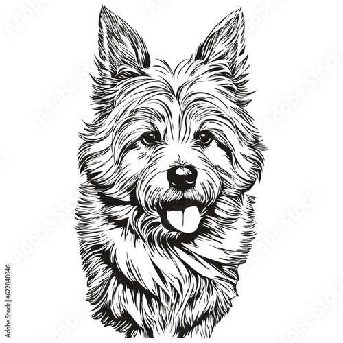 Coton de Tulear dog hand drawn logo drawing black and white line art pets illustration ready t shirt print