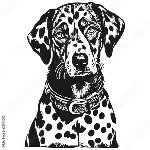 Dalmatian dog outline pencil drawing artwork, black character on white background