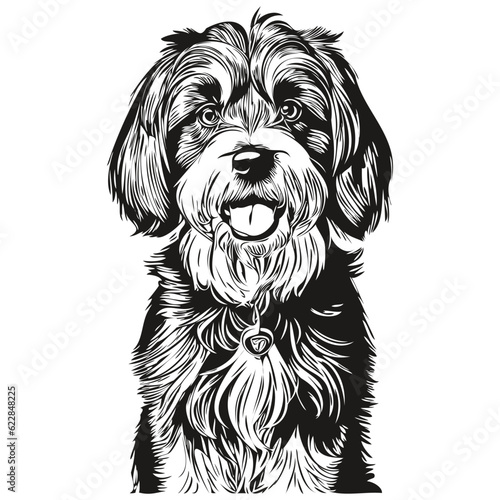 Tibetan Terrier dog hand drawn logo drawing black and white line art pets illustration realistic breed pet