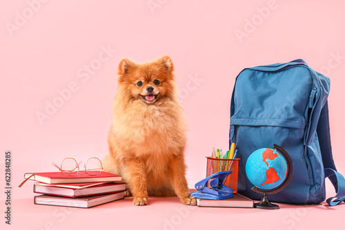 Cute Pomeranian dog with sc...