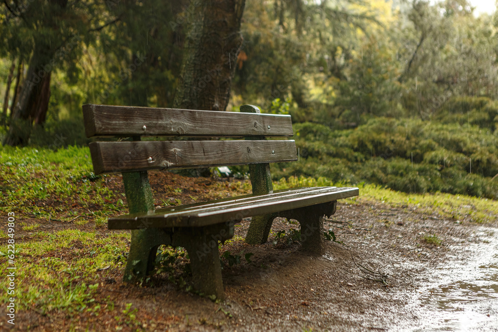 Portrait of a wooden bench in a park at a rainy day outdoors Portrait of a wooden bench in a park at a rainy day outdoors