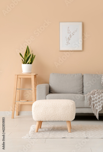 Interior of living room with sofa  ottoman and houseplant