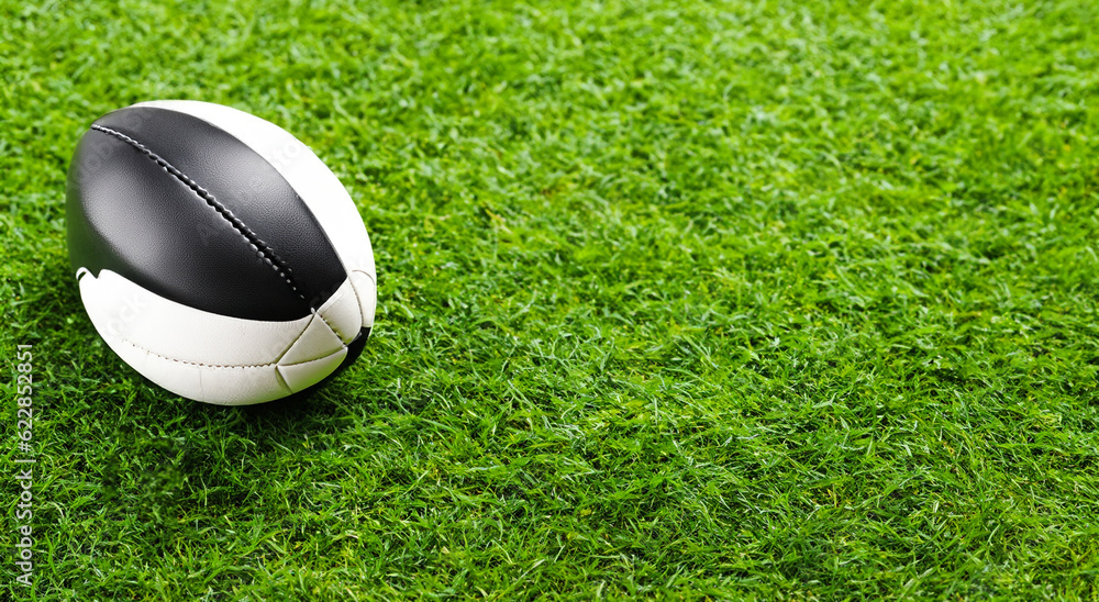 american football ball on a green grass american football ball on a green grass