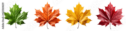 Different colors of maple leaf, Generative AI