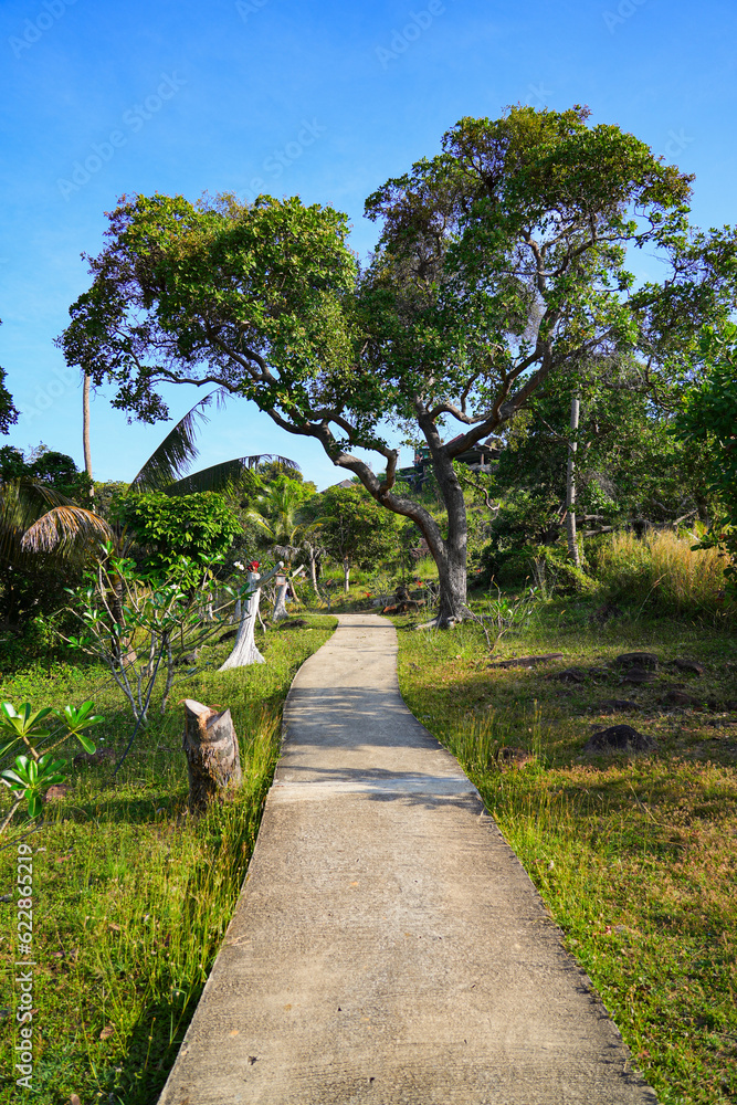 Trail leading up to Viewpoint 2 on Koh Phi Phi Don island in the Andaman Sea in the Province of Krabi, Thailand