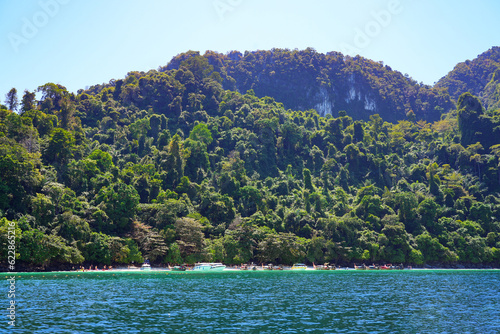 View of the lush hills above Monkey Beach on Koh Phi Phi Don island in the Andaman Sea  Province of Krabi  Thailand