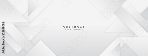 Abstract white and light gray shape modern soft luxury texture with smooth and clean vector subtle background.