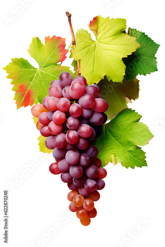Fresh organic red grapes in isolated transparent background