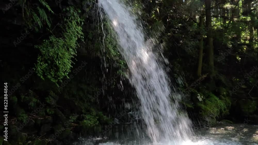 A view of a small waterfall in the forest. A view of a small waterfall in the forest.