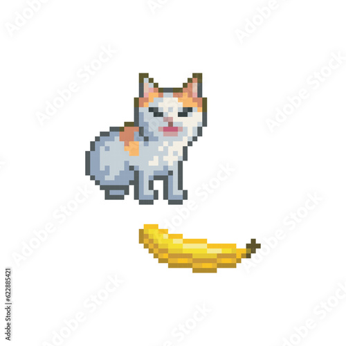 Drawing of cat and a banana, pixel art meme