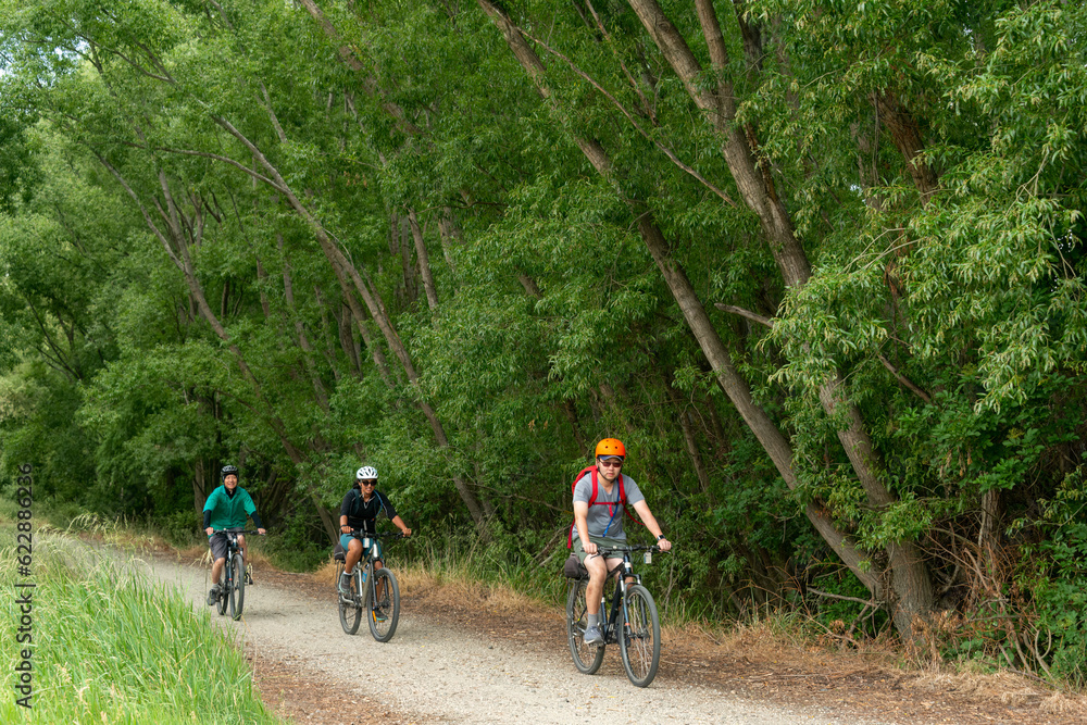 Three cyclists riding the Otago Central Rail Trail, green trees along the trail. Central Otago. South Island.
