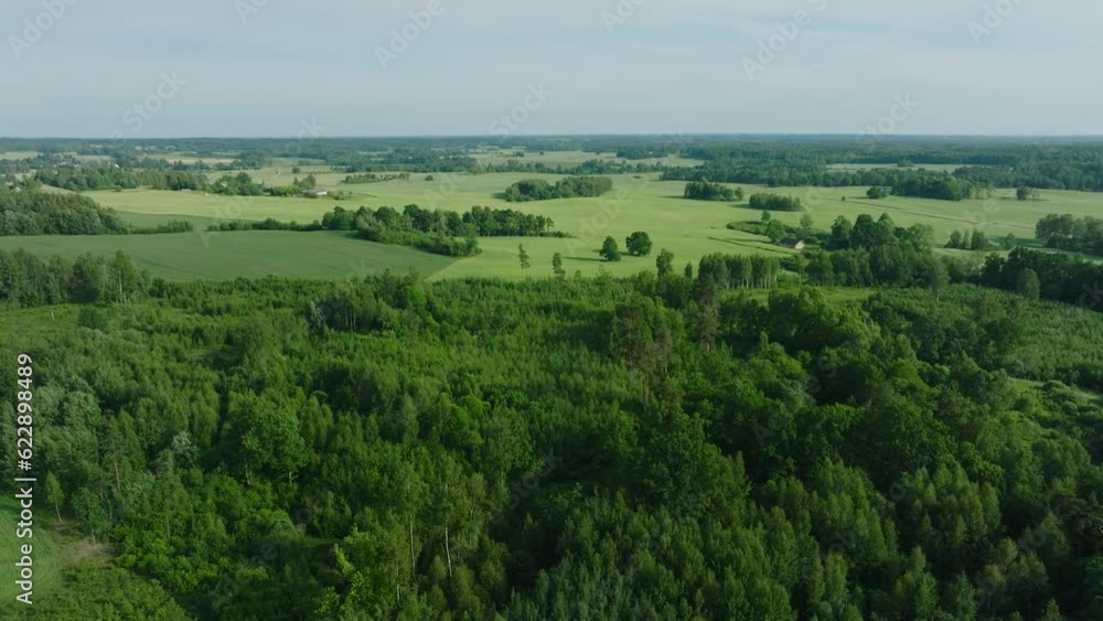 Aerial establishing view of ripening grain fields at sunset, organic farming, countryside landscape, production of food, nordic woodland, sunny summer afternoon, wide drone shot moving forward Aerial establishing view of ripening grain fields at sunset, organic farming, countryside landscape, production of food, nordic woodland, sunny summer afternoon, wide drone shot moving forward