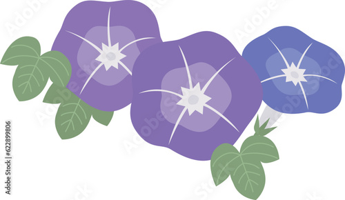 アサガオの花のイラスト