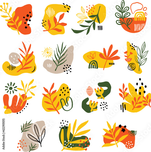 Set Collection Hand drawn Organic Shape Floral Illustration vector